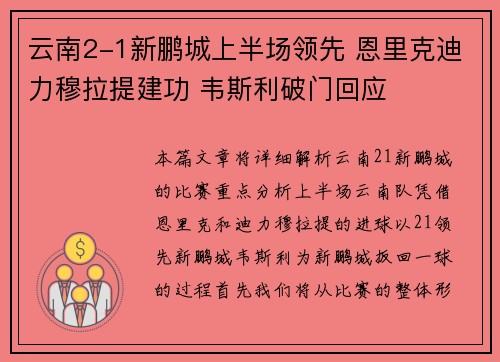 云南2-1新鹏城上半场领先 恩里克迪力穆拉提建功 韦斯利破门回应